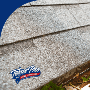 Clogged roof gutter filled with leaves and debris.